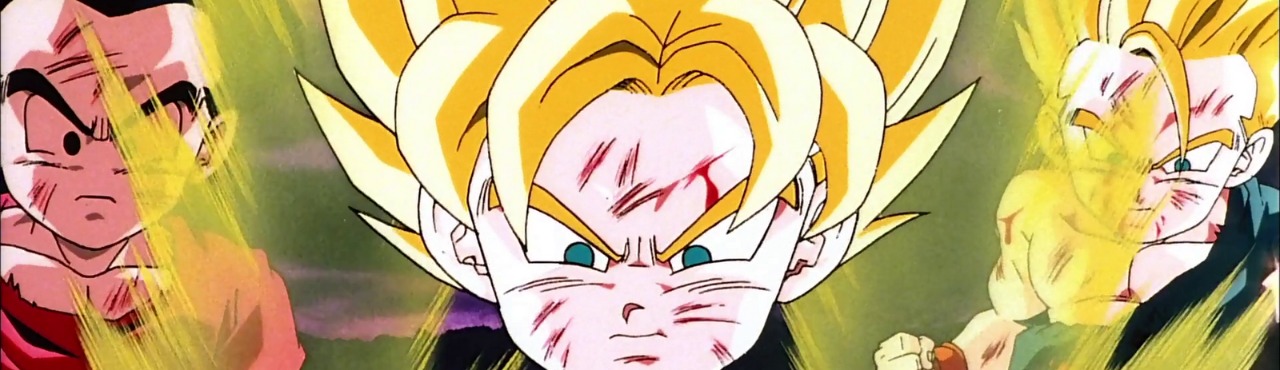 Dragon Ball Z Pelicula 11: El combate final