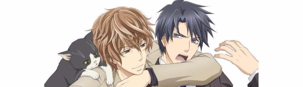 Sekaiichi Hatsukoi Movie: Yokozawa Takafumi no Baai